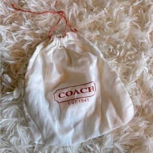 Coach small dust bag